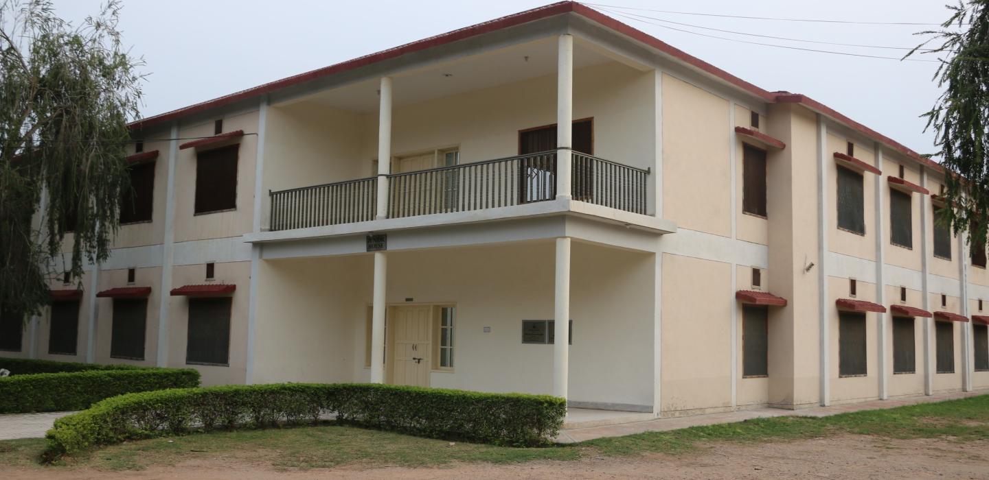 Junior House Exterior